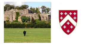 Tudor tourism in England