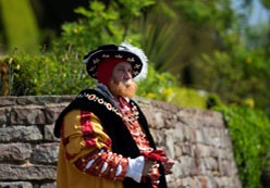 Henry VIII actor